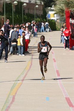 Galer�a fotogr�fica XI Media Marat�n Internacional (edici�n 2007)