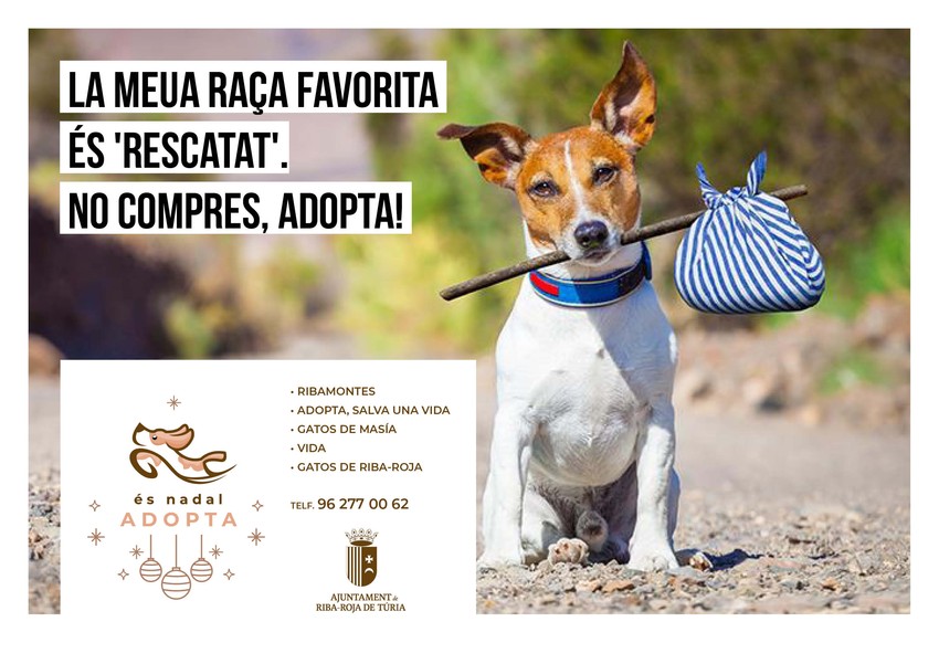 Riba-roja posa en marxa la campanya 's Nadal, Adopta' per a fomentar la tinena responsable d'animals de companyia