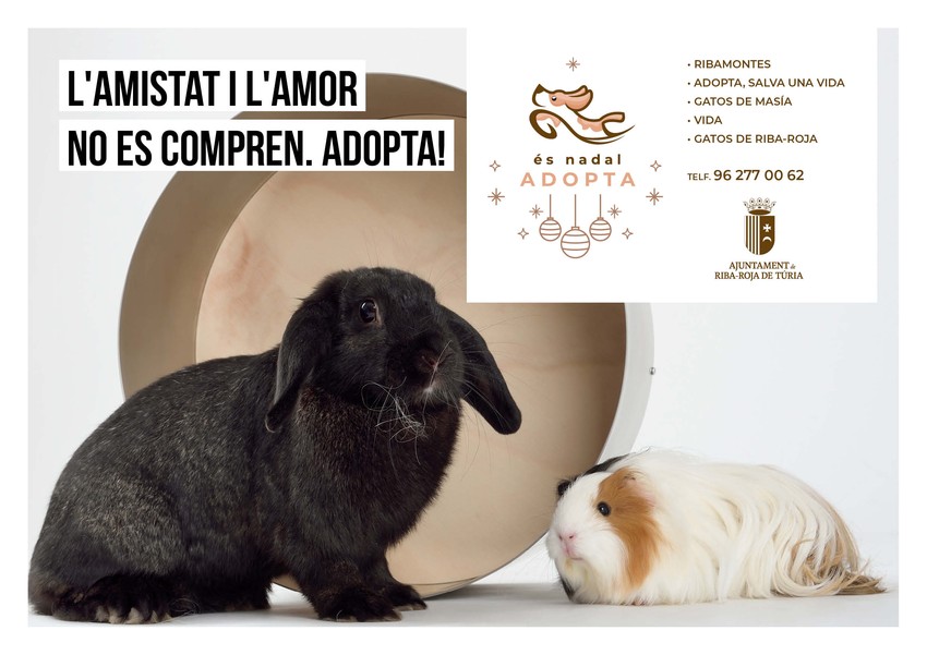 Riba-roja posa en marxa la campanya 's Nadal, Adopta' per a fomentar la tinena responsable d'animals de companyia