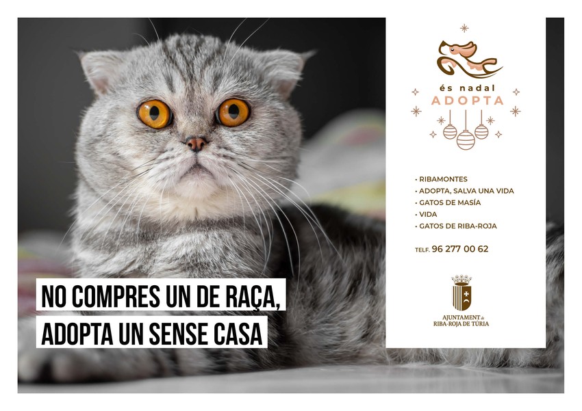 Riba-roja posa en marxa la campanya 's Nadal, Adopta' per a fomentar la tinena responsable d'animals de companyia