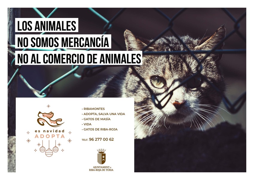 Riba-roja posa en marxa la campanya 's Nadal, Adopta' per a fomentar la tinena responsable d'animals de companyia