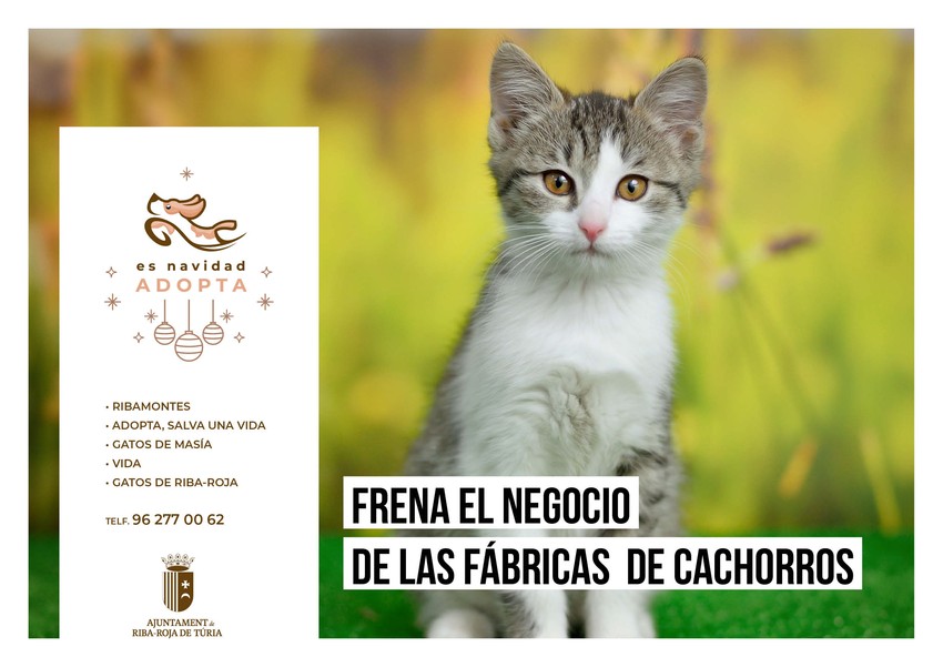 Riba-roja posa en marxa la campanya 's Nadal, Adopta' per a fomentar la tinena responsable d'animals de companyia