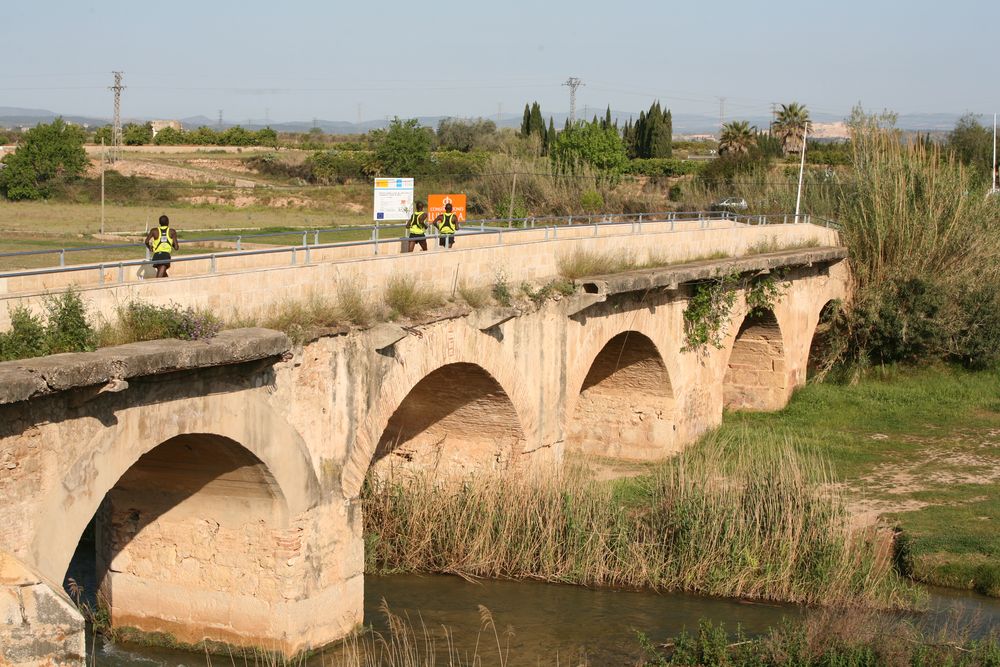 Galer�a fotogr�fica XII Media Marat�n Internacional (edici�n 2008)