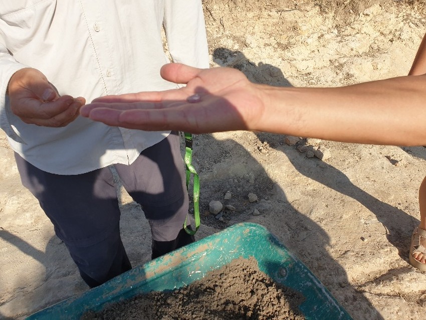 El jaciment de Valncia la Vella a Riba-roja de Tria descobreix una pea funerria d'poca romana traslladada des de la ciutat d'Edeta, a Llria, en honor a la sacerdotessa Postumia