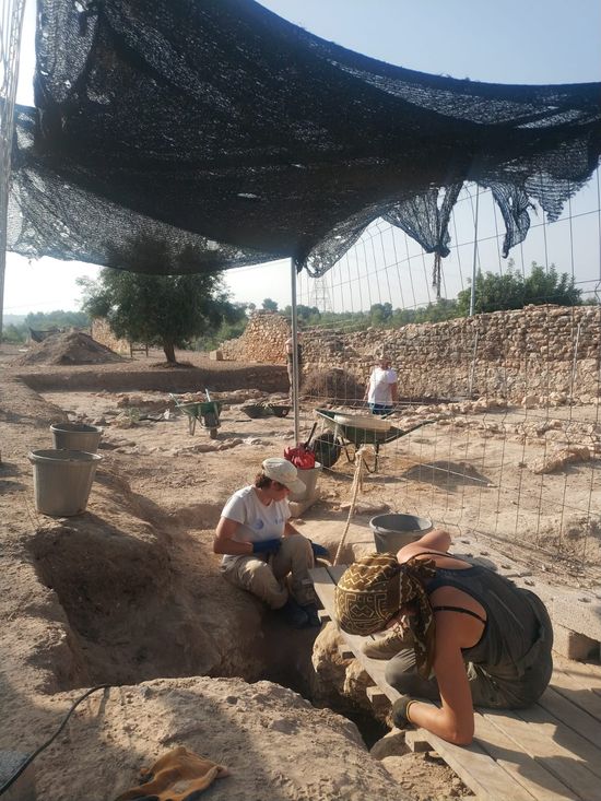 Les excavacions arqueolgiques en el jaciment de Valncia la Vella plantegen l'existncia d'una ceca monetria a la ciutat