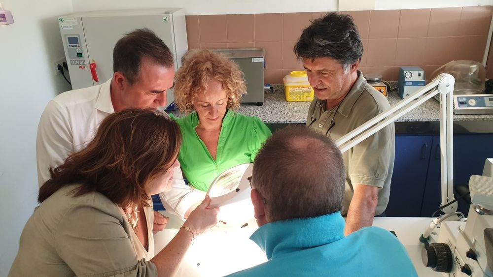 Riba-roja recupera una decena de piezas metlicas procedentes de las excavaciones de Valencia la Vella, restauradas por el Instituto valenciano de Conservacin y Restauracin