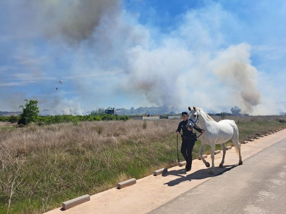 Riba-roja acuerda una serie de medidas para hacer frente a los incendios en el Parque Natural del Tria