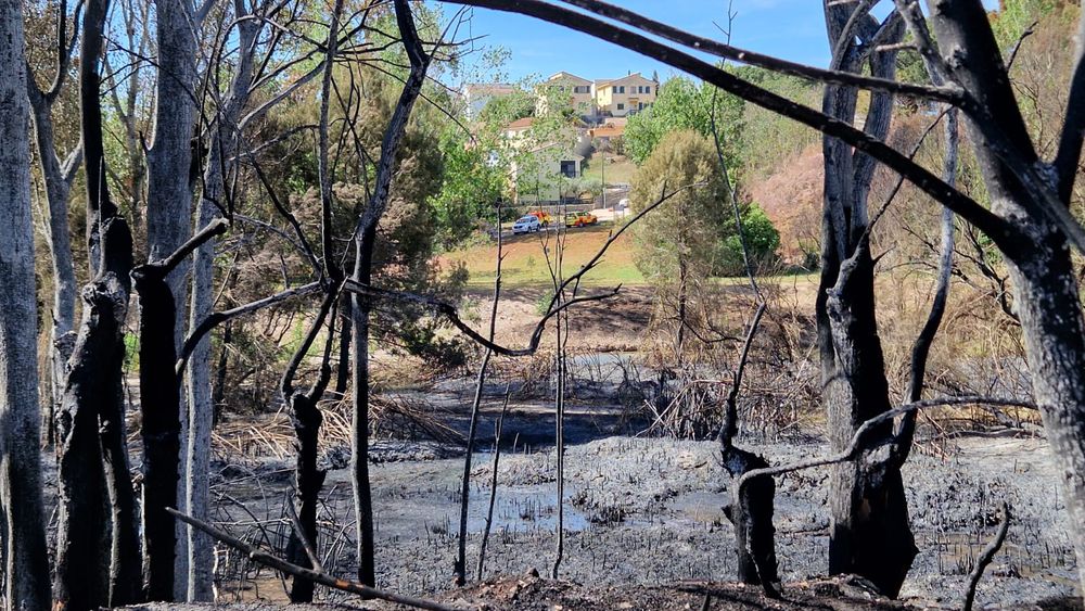 Riba-roja de T�ria aprova la nova cartografia que identifica i delimita les urbanitzacions i les vivendes constru�des en terreny forestal per a previndre el risc d'incendi forestal