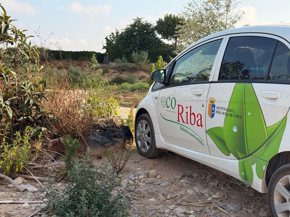 Les brigades de la zona industrial i del Parc Natural avancen en els treballs del Pla d'Ocupaci� DANA de Riba-roja