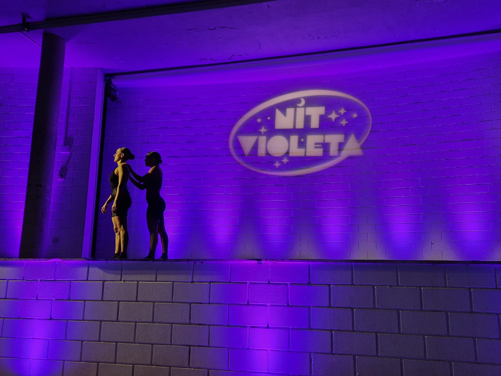 La monologuista Saray Cerro reivindicar� la igualtat en la IV Nit Violeta a Riba-roja de T�ria