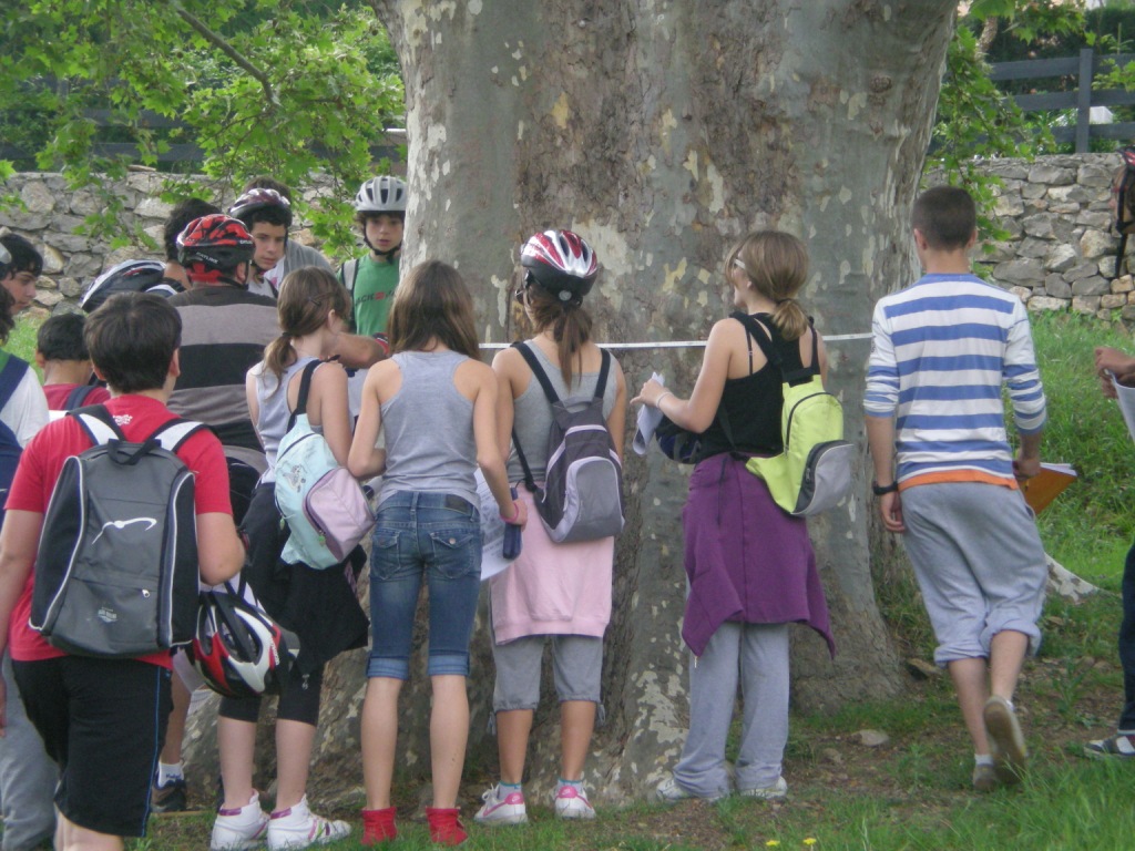 Los alumnos del IES El Quint participan en el Proyecto Riu T�ria, Aula Integral