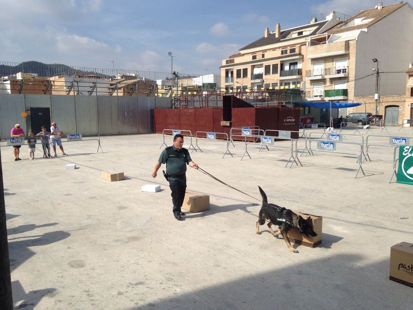 I Concurso Canino en Ribarroja del Turia