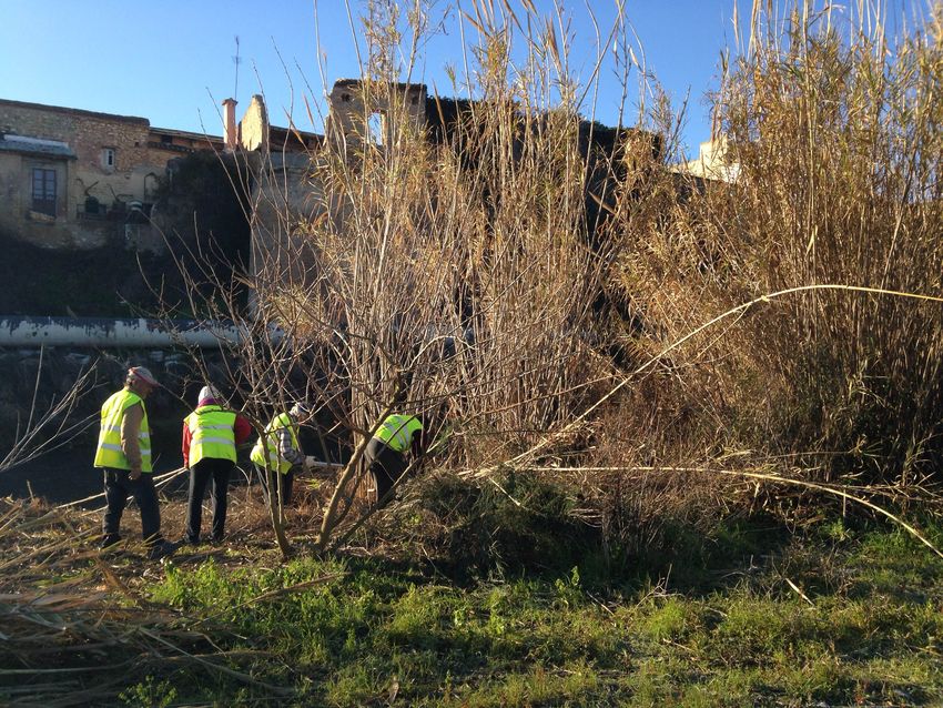 Limpieza del cauce del Rio Turia y Barrancos de Ribarroja del Turia