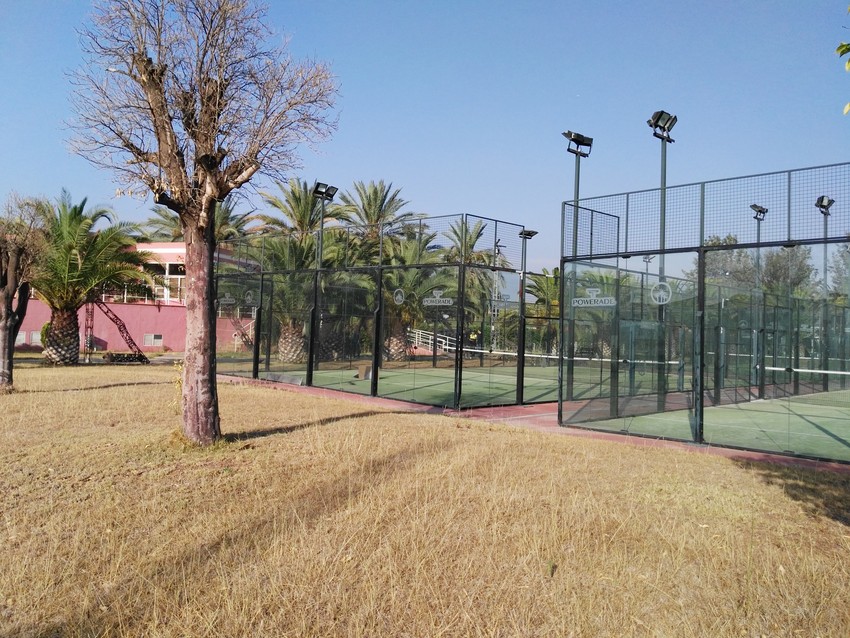 El Ayuntamiento de Riba-roja recuperar dos tercios de las 46 palmeras de Peasol estn afectadas por el picudo