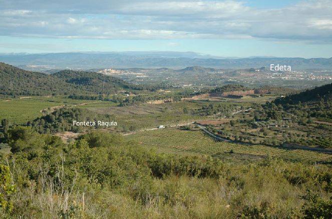 Riba-roja planeja recuperar 200 ruscs del jaciment apcola de porxinos d'poca bera nic a Espanya