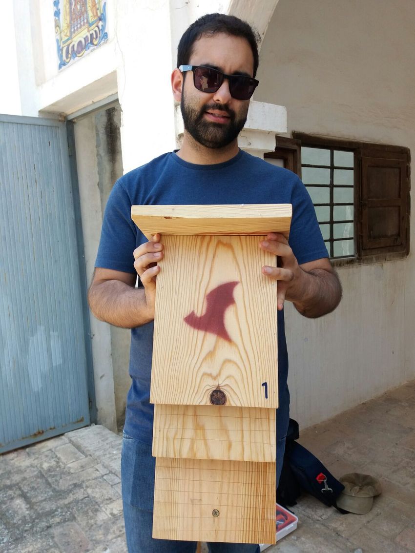 Riba-roja installa caixes per a ratspenades per a lluitar contra el mosquit tigre en parcs, barrancs i jardins pblics