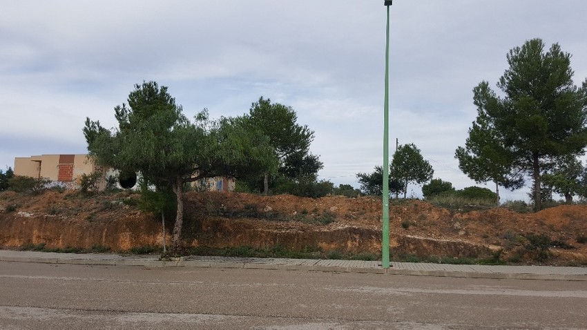 Riba-roja de T�ria recupera una parcela de 15.000 metros cuadrados en el �rea del Gallipont para destinarla a zona verde