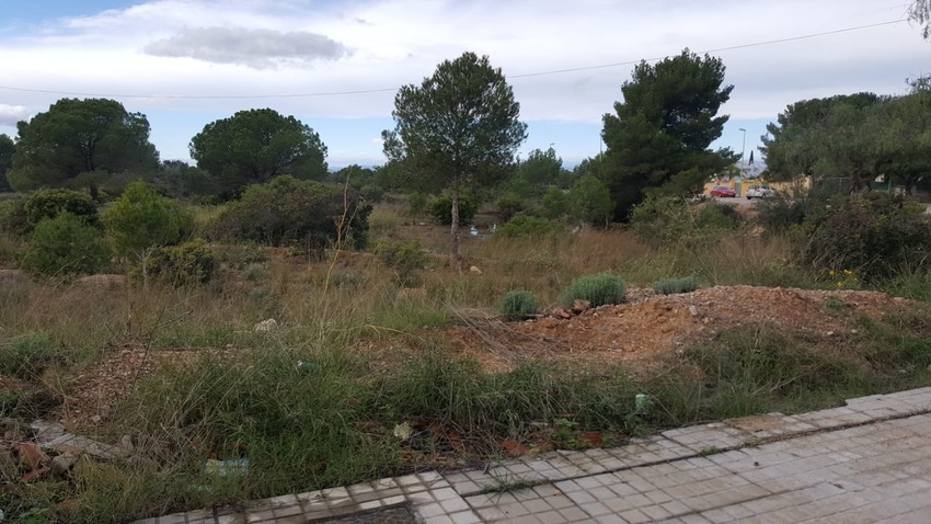 Riba-roja de T�ria recupera una parcela de 15.000 metros cuadrados en el �rea del Gallipont para destinarla a zona verde