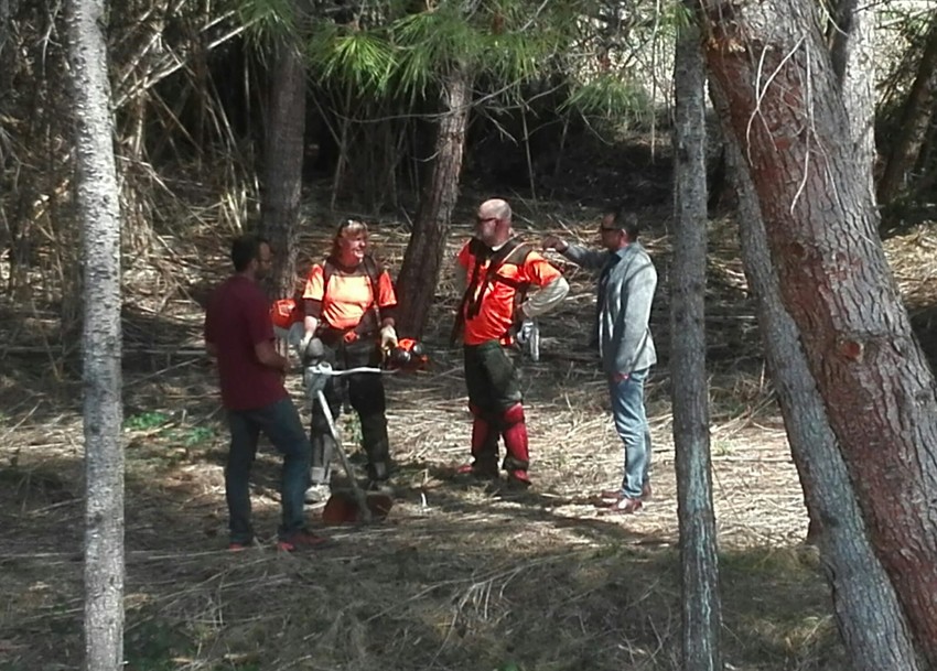 Riba-roja intensifica la eliminacin de flora invasora en Els Pous para evitar el riesgo de incendios forestales
